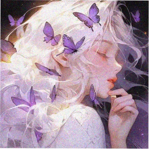 观众头像：夜航船的留言